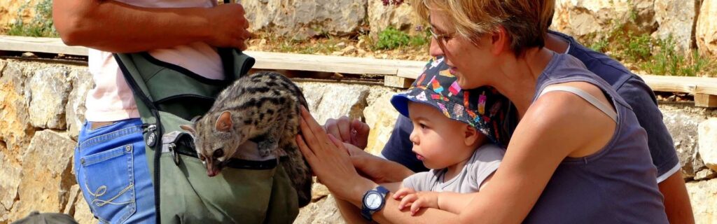 Activitats-amb-animals | Visitar Zoo del Pirineu Activitat interactiva amb animals salvatges a Catalunya