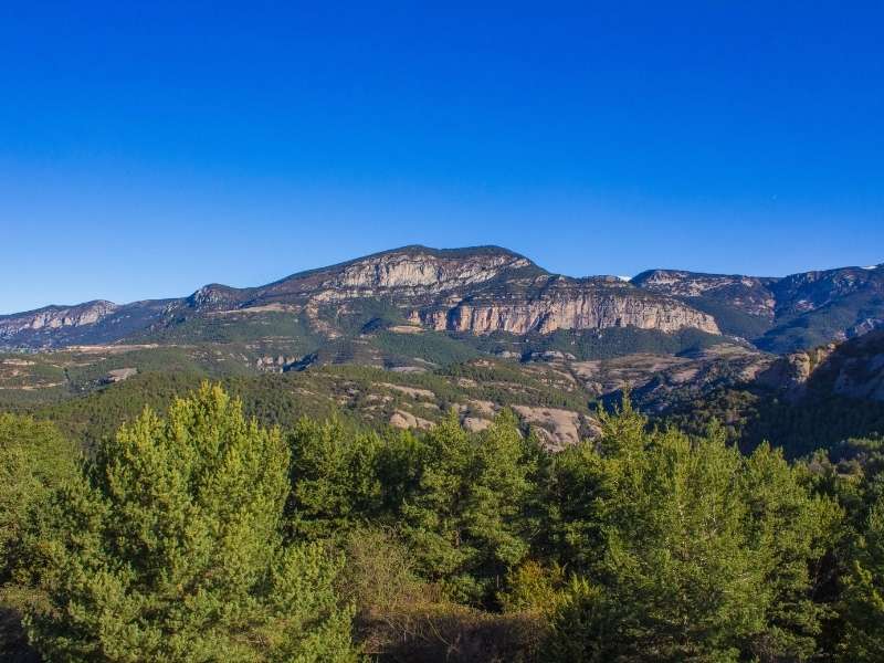 How to arrive at the Zoo of the Pyrenees