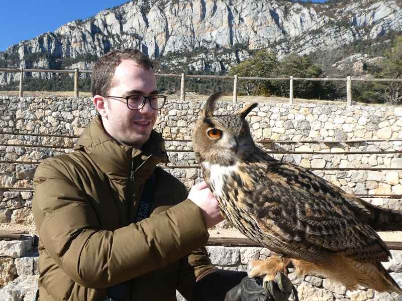 Owl Experience with an eagle owl