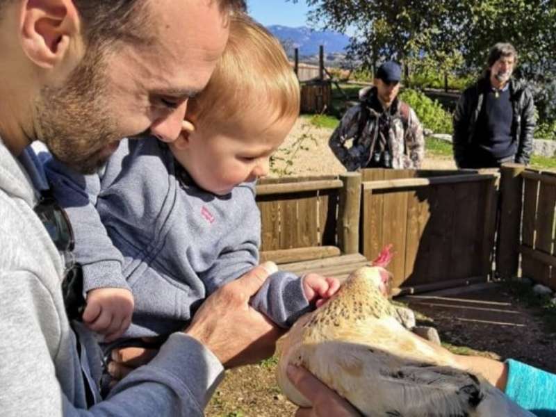 Petting zoo with babies