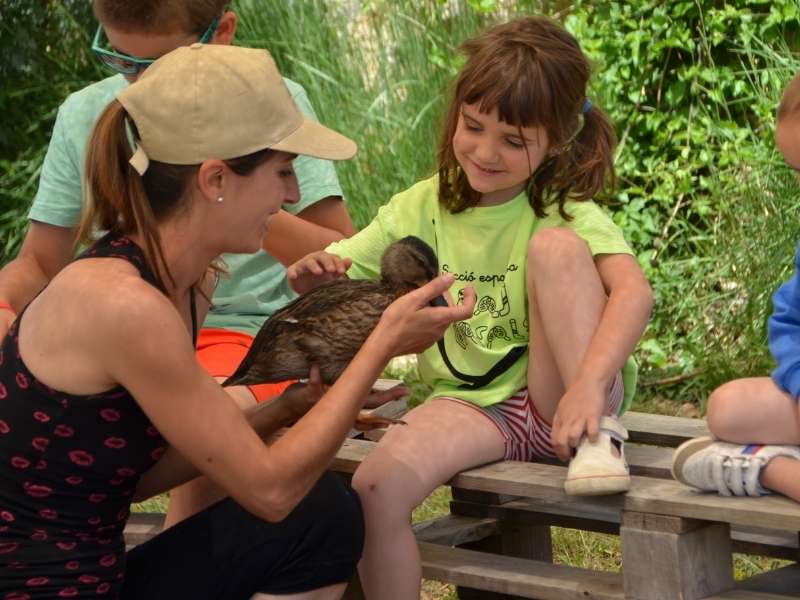 Petting zoo activity