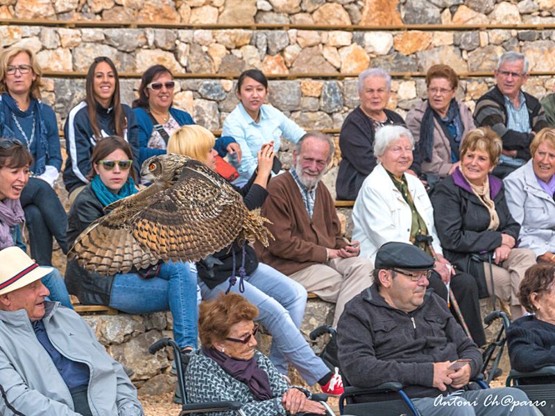 Visitar el zoo con grupos de séniors