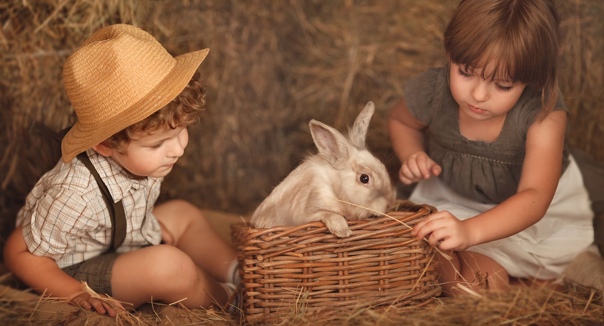 Educar los niños hacia amor por los animales.