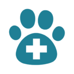 Curso para veterinarios