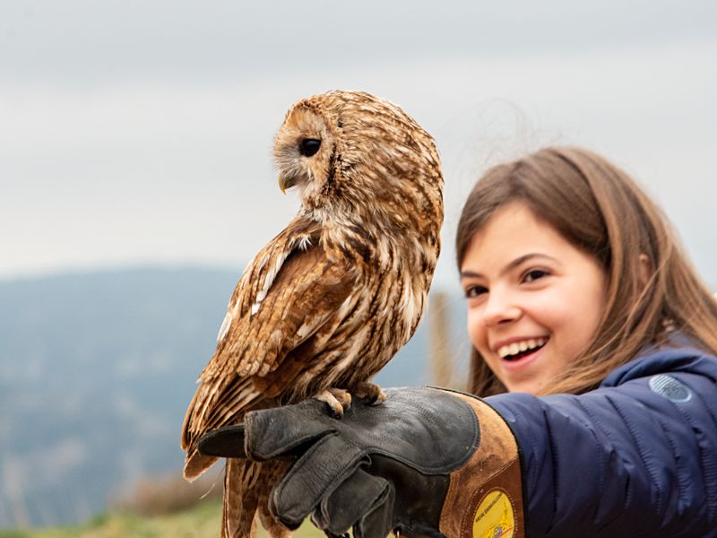 Escuela visita Zoo de los Pirineos