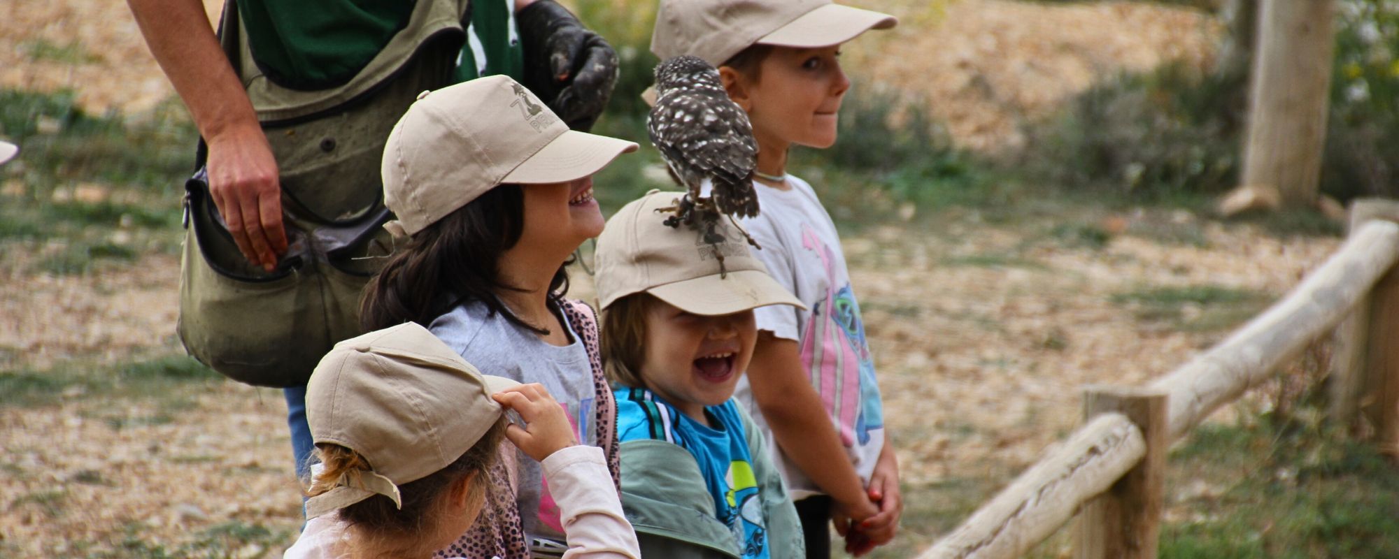 Planifica la teva visita al Zoo: activitats educatives per a nens