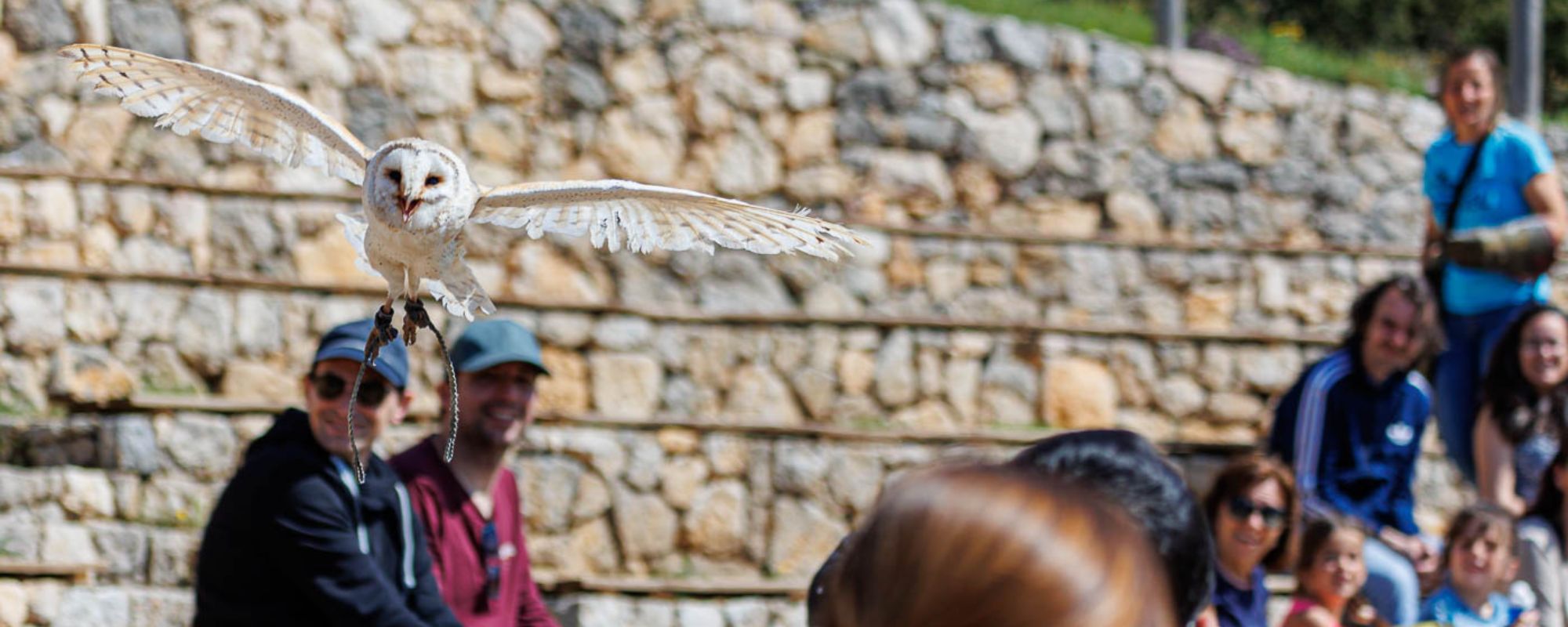 Planifica la teva visita al Zoo del Pirineu per descobrir la fauna autòctona del Pirineu
