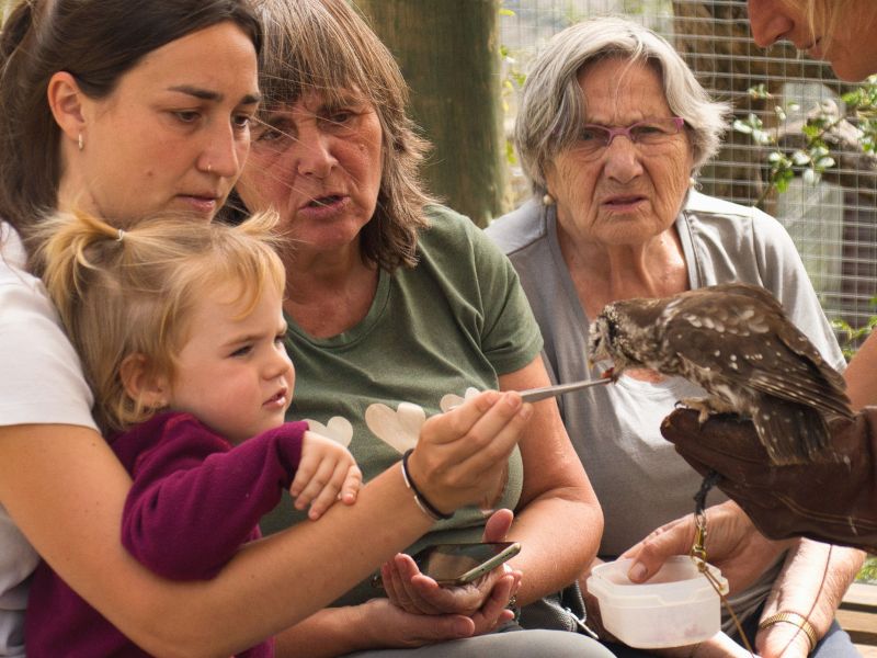 Regala una visita al Zoo de los Pirineos