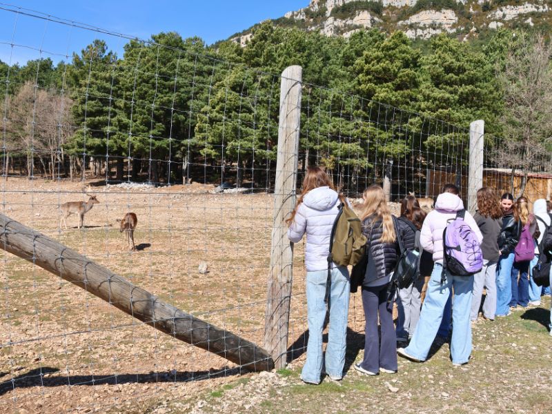 families observing rescued animals in a natural setting during a guided visit near Solsona
