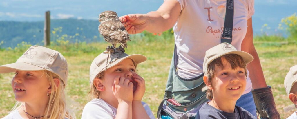 Exhibición de vuelo con niños | Visitar Zoo del Pirineu Niños participando en una experiencia con animales salvajes en el Zoo del Pirineu durante Semana Santa 2026 con niños