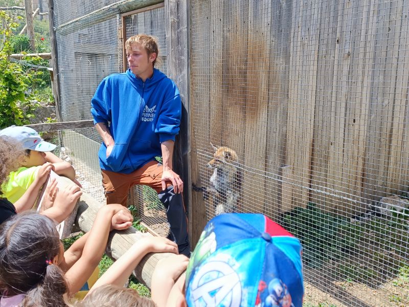family wildlife experience with children during a guided visit near Solsona in nature