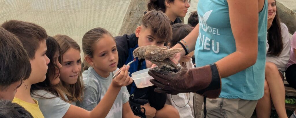 Què fer amb nens al Solsonès