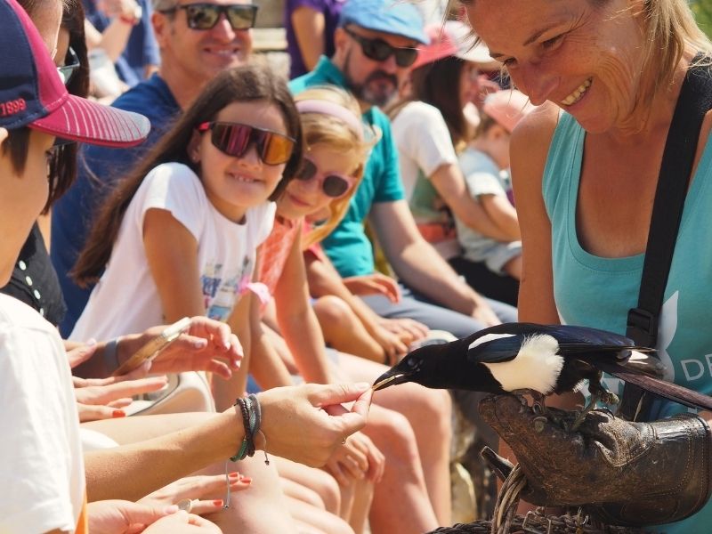 experiencia SX3 con animales para niños en Cataluña Zoo del Pirineu