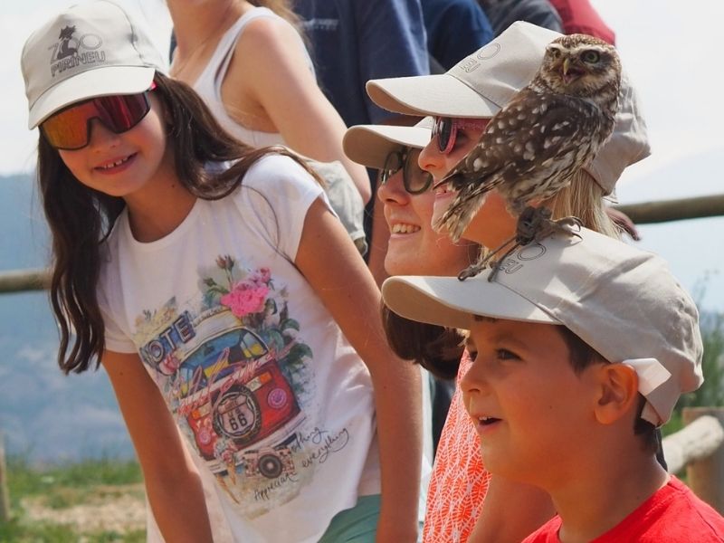 niños participando con animales salvajes Zoo del Pirineu Cataluña
