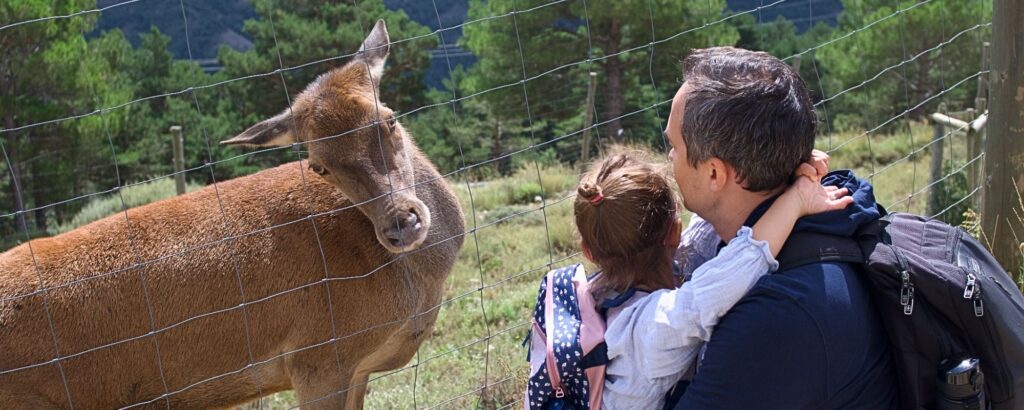 experiencia familiar con animales en Cataluña Zoo del Pirineu SX3