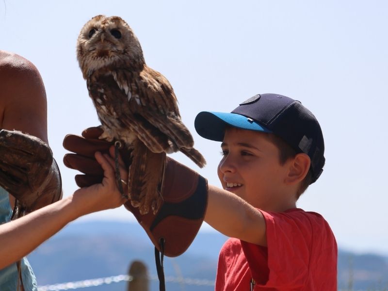 Actividad con animales para niños | Visitar Zoo del Pirineu