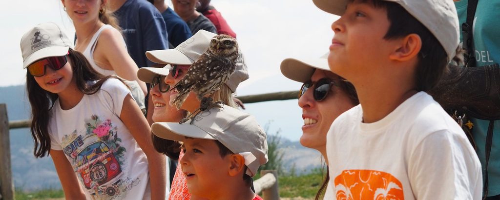 Actividad para niños con animales | Visitar Zoo del Pirineu