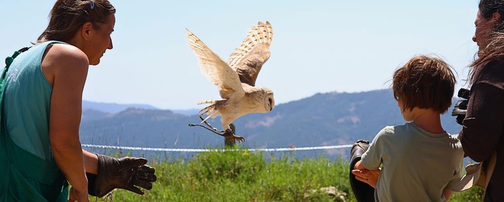 Experiencia buhos con niños | Visitar Zoo del Pirineu